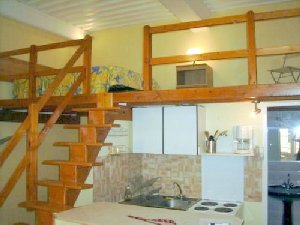 Photo N1:  Appartement    Lyon Vacances  Rhne (69) FRANCE 69-7893-1
