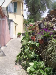 Photo N1:  Appartement    Chiavari Vacances Genes Ligurie - Gnes ITALIE it-7902-1