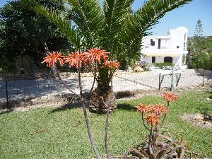 Photo N1:  Villa - maison Ferragudo Vacances Portimo Algarve PORTUGAL PT-7910-4