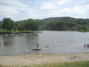 Photo N10:  Villa - maison Cunlhat Vacances  Puy de Dme (63) FRANCE 63-7912-1