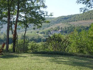 Photo N3:  Villa - maison Parnac Vacances Cahors Lot (46) FRANCE 46-7917-1