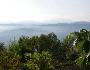 Photo N1: Location vacances Montauroux Cannes Var (83) FRANCE 83-7959-1