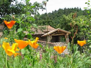 Photo N7: HEBERGEMENT Saint-Victor - Saint-Flicien - Ardche (07) - FRANCE - 07-4224-2 