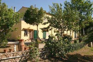 Photo N1: Location vacances Donoratico Castagneto-Carducci Toscane - Florence ITALIE it-7989-1