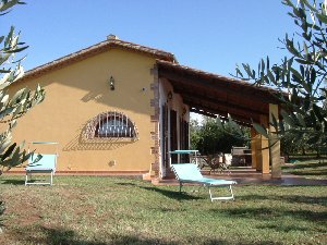 Photo N5: Location vacances Donoratico Castagneto-Carducci Toscane - Florence ITALIE it-7989-1