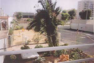 Photo N4:  Appartement da Plaja-de-San-Juan Vacances Alicante Costa Blanca ( Valencia) ESPAGNE es-7990-1