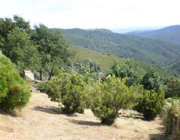 Photo N4: Location vacances Alria Zalana Corse (20) FRANCE 20-8020-1