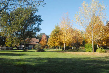 Photo N3:  Chambre d'hte Sabres Vacances Labouheyre Landes (40) FRANCE 40-8069-1