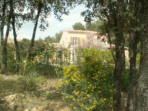 Photo N2:  Villa - maison Puget Vacances Cavaillon Vaucluse (84) FRANCE 84-8093-1