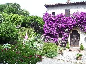Photo N4:  Villa - maison Propriano Vacances  Corse (20) FRANCE 20-8096-2