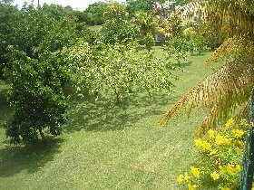 Photo N3:  Bungalow   Sai Saint-Franois Vacances Sainte-Anne  Guadeloupe gp-8146-1