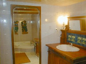 Photo N8:  Appartement da Chatel Vacances Thonon Haute Savoie (74) FRANCE 74-8162-1