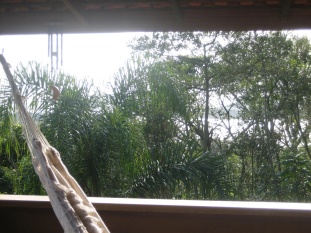 Photo N�2:  Villa - maison Florianopolis Vacances Lagoa  BRESIL br-8192-1