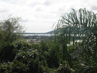 Photo N�8:  Villa - maison Florianopolis Vacances Lagoa  BRESIL br-8192-1