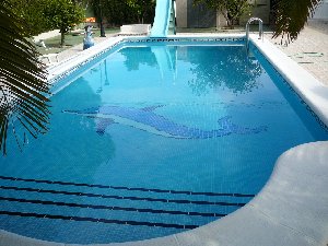 Photo N2:  Villa - maison Torrevieja Vacances Elche Costa Blanca ( Valencia) ESPAGNE es-8200-1