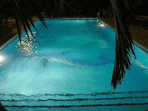 Photo N4:  Villa - maison Torrevieja Vacances Elche Costa Blanca ( Valencia) ESPAGNE es-8200-1