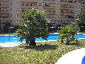 Photo N2:  Appartement da San-Pedro Vacances Marbella Costa del Sol (Andalousie) ESPAGNE es-8206-1