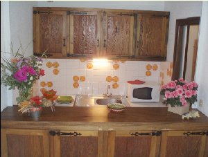 Photo N8:  Appartement da Morzine Vacances Genve Haute Savoie (74) FRANCE 74-8218-3