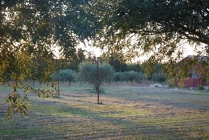 Photo N10:  Mas   Beaucair Beaucaire Vacances Bellegarde Gard (30) FRANCE 30-8262-1