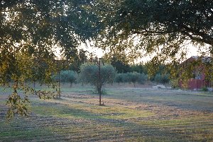 Photo N10: Location vacances Beaucaire Bellegarde Gard (30) FRANCE 30-8262-1