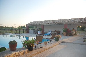 Photo N8: Location vacances Beaucaire Bellegarde Gard (30) FRANCE 30-8262-1