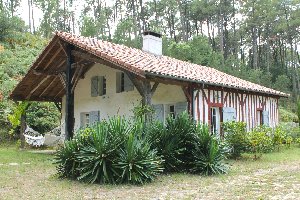 Photo N7: HEBERGEMENT Moliets - Lon - Landes (40) - FRANCE - 40-8271-1 