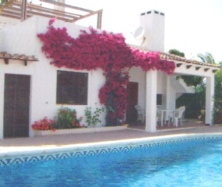 Photo N1:  Villa - maison Torrevieja Vacances Alicante Costa Blanca ( Valencia) ESPAGNE es-2246-1