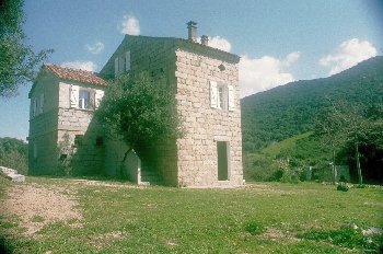 Photo N1:  Villa - maison Filitosa Vacances Porto-Pollo Corse (20) FRANCE 20-2955-1