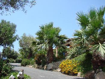 Photo N7: HEBERGEMENT Olmeto-plage - Porto-Pollo - Corse (20) - FRANCE - 20-2965-1 