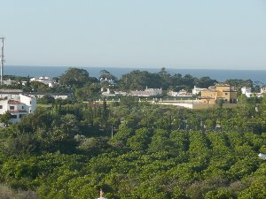 Photo N10:  Appartement da Albufeira Vacances Branqueira Algarve PORTUGAL pt-2514-1