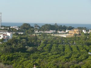 Photo N10:  Appartement da Albufeira Vacances Branqueira Algarve PORTUGAL pt-2514-1