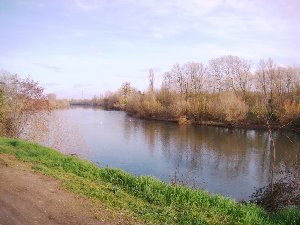 Photo N7: HEBERGEMENT Saint-Antoine-de-Breuilh - Bergerac - Dordogne (24) - FRANCE - 24-8293-1 