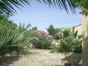 Photo N1: Location vacances Agde Ste Hrault (34) FRANCE 34-8292-1