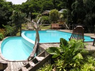 Photo N5:  Bungalow   Rif Riflet Vacances Deshaies  Guadeloupe GP-4642-1