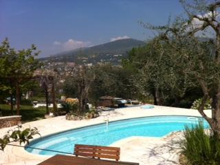 Photo N4: Location vacances Grasse Cannes Alpes Maritimes (06) FRANCE 06-8339-1