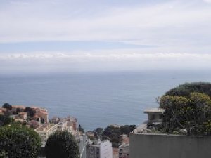Photo N2:  Appartement    Cap-d-Ail Vacances Monaco Alpes Maritimes (06) FRANCE 06-8341-1