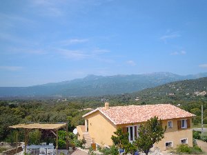 Photo N1: Location vacances Figari Porto-Vecchio Corse (20) FRANCE 20-8342-1