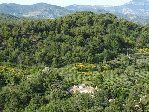 Photo N3:  Mas   Entrecha Entrechaux Vacances Vaison-la-Romaine Vaucluse (84) FRANCE 84-8344-1