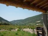 Photo N5:  Villa - maison Le-Pegue Vacances Nyons Drme (26) FRANCE 26-8366-1