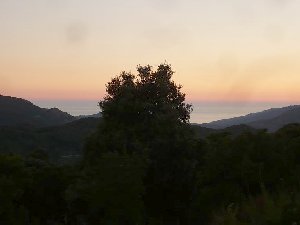 Photo N15: Location vacances Vico Sagone Corse (20) FRANCE 20-8371-1