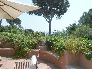 Photo N6:  Villa - maison Sainte-Maxime Vacances Saint-Tropez Var (83) FRANCE 83-8389-1