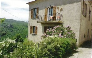 Photo N1:  Appartement da Vallecalle Vacances Saint-Florent Corse (20) FRANCE 20-8395-1