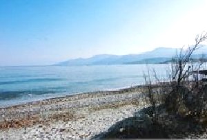 Photo N9:  Appartement da Vallecalle Vacances Saint-Florent Corse (20) FRANCE 20-8395-1