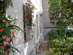 Photo N4: Location vacances Nice  Alpes Maritimes (06) FRANCE 06-8396-1