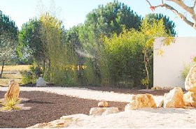 Photo N10:  Appartement da Vidauban Vacances Saint-Raphael Var (83) FRANCE 83-8495-1
