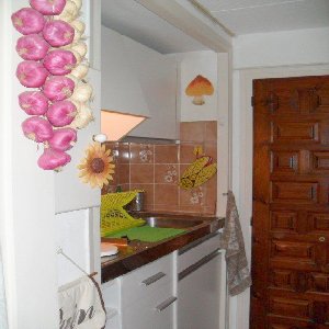 Photo N7:  Appartement    Rosas Vacances Figueras Costa Brava (Catalogne) ESPAGNE es-8499-1