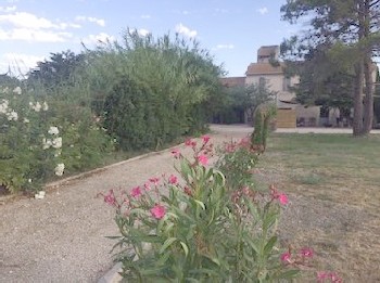 Photo N5: Location vacances Arles Gageron Bouches du Rhne (13) FRANCE 13-8682-1