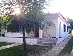 Photo N1:  Villa - maison Ametlla-de-Mar Vacances Cambrils Costa Dorada (Catalogne) ESPAGNE ES-1-20