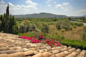 Photo N10:  Villa - maison Java Vacances Alicante Costa Blanca ( Valencia) ESPAGNE ES-1-32