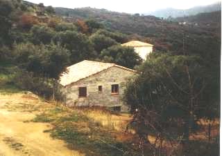 Photo N1:  Villa - maison Aregno Vacances Ile-Rousse Corse (20) FRANCE 20-2428-1